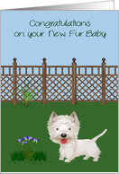 Congratulations On New Pet West Highland Terrier with a Dog in a Yard card