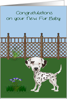Congratulations On New Pet, Dalmatian, a dog in a yard with flowers card