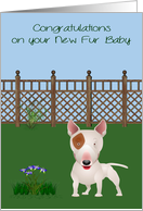 Congratulations On New Pet, Bull Terrier, a dog in a yard with flowers card