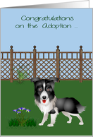 Congratulations on Adoption with a Border Collie in a Pretty Yard card