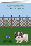 Congratulations On Adoption, Black and white Bulldog, Rescue, Shelter card