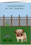 Congratulations On Adoption, Pug Dog, Rescue, Shelter, yard with fence card