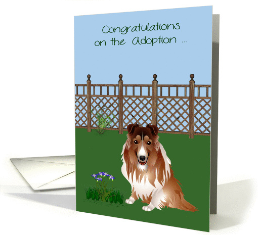 Congratulations On Adoption, Collie, Rescue, Shelter,... (1367342)
