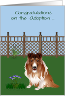 Congratulations On Adoption, Collie, Rescue, Shelter, yard with fence card
