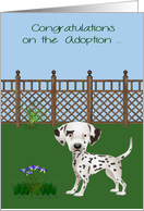 Congratulations On Adoption, Dalmatian, Rescue, Shelter, yard card