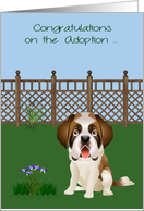 Congratulations On Adoption, Saint Bernard, Rescue, Shelter, yard card