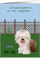 Congratulations On Adoption, Sheepdog, Rescue, Shelter, yard, fence card