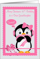 16th Birthday on Christmas to Granddaughter, Cute penguin in a frame card