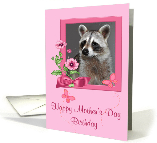 Birthday on Mother's Day, general, Portrait of a raccoon,... (1368522)