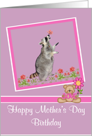 Birthday on Mother’s Day, general, Raccoon with a butterfly on nose card