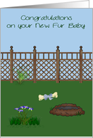 Congratulations On New Pet, any dog, yard with flowers and blue bone card