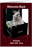 Welcome Back to Work from all of us, raccoon in a file cabinet card