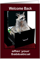 Welcome Back to Work after Sabbatical, raccoon in a file cabinet card