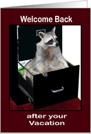 Welcome Back to Work after Vacation, raccoon in a file cabinet card