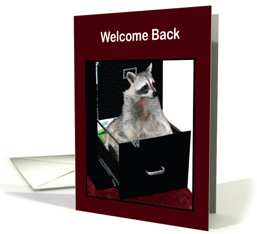 Welcome Back to Work with a Raccoon Sitting in a Black... (1378204)