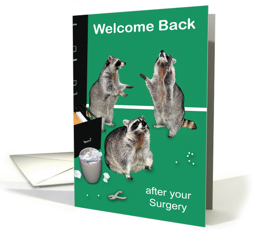 Welcome Back to Work after surgery raccoons next to a... (1378498)