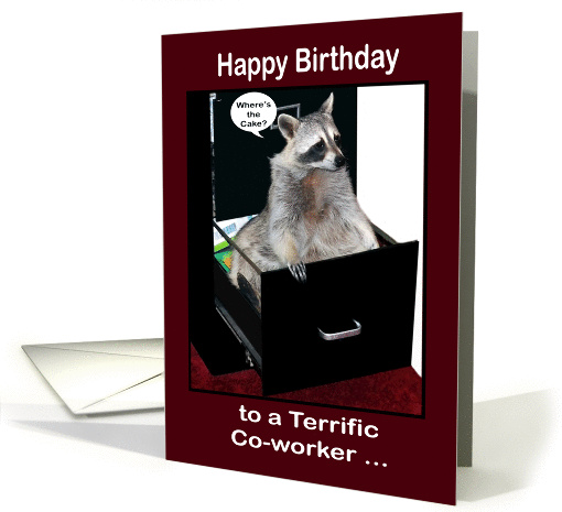 Happy Birthday to Co-worker, cute raccoon sitting in a... (1378506)
