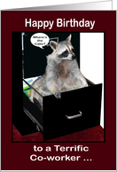 Happy Birthday to Co-worker, cute raccoon sitting in a file cabinet card