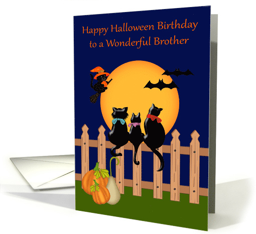 Birthday on Halloween to Brother, Three black cats gazing... (1384000)