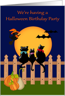 Invitations to Halloween Birthday Party, three cute black cats, moon card
