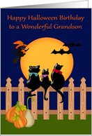 Birthday on Halloween to Grandson Card with Three Black Cats card