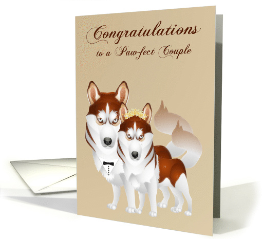 Congratulations, wedding for dog lovers, husky bride and groom card