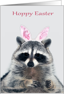 Easter with an Adorable Raccoon Wearing Bunny Ears on Gray card