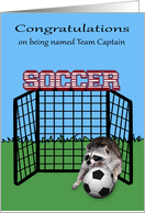 Congratulations on being named team captain, soccer, raccoon card