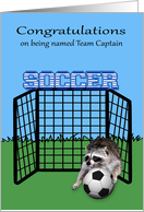 Congratulations on being named team captain, soccer, raccoon card