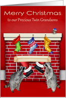 Christmas to Twin Grandsons, twin raccoons waiting on Santa Claus card