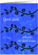 Good Luck, A2 Level exams, long stems with beautiful flowers on blue card