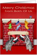 Christmas from Both Of Us, raccoons excited over Santa Claus on red card