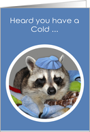 Get Well, Cold, general, humor, sick cute raccoon wearing ice bag card
