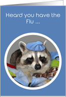 Get Well, Flu, general, humor, sick cute raccoon wearing ice bag card