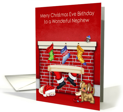 Birthday on Christmas Eve to Nephew with Animals and Santa Claus card