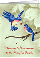 Christmas, to custom name, two beautiful blue birds, red ornament card