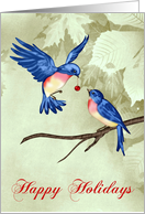 Happy Holidays, general, two beautiful blue birds with red ornament card
