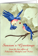 Season’s Greetings, business custom name, two beautiful blue birds card