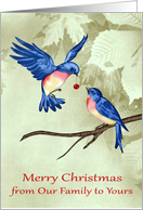 Christmas from Our Family to Yours, two beautiful blue birds, ornament card