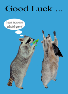 Good Luck, Black Friday Shopping, Raccoon holding a water gun