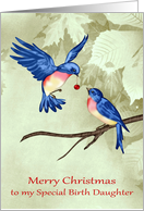 Christmas to Birth Daughter, two beautiful blue birds, red ornament card
