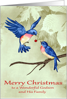 Christmas to Godson and Family, two beautiful blue birds, red ornament card