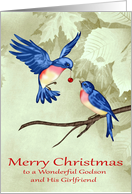 Christmas to Godson and Girlfriend, two beautiful blue birds, ornament card