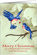 Christmas to Grandson and Husband, two beautiful blue birds, red card