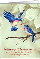 Christmas to Mother and Step Father, two beautiful blue birds, red card