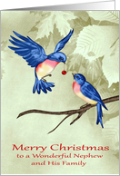 Christmas to Nephew and Family, two beautiful blue birds, ornament card