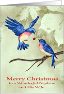 Christmas to Nephew and Wife, two beautiful blue birds, red ornament card