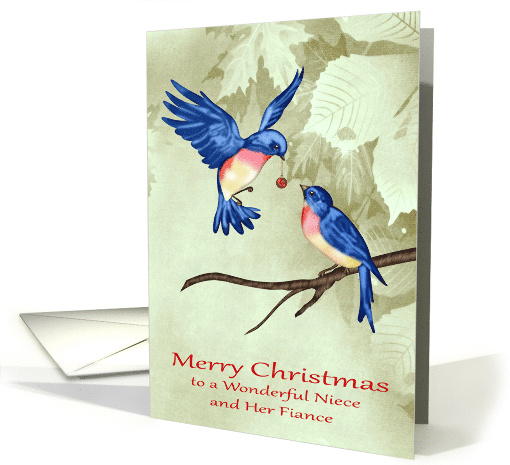 Christmas to Niece and Fiance with Beautiful Blue Birds... (1413478)