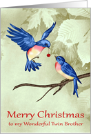 Christmas to Twin Brother, two beautiful blue birds with red ornament card