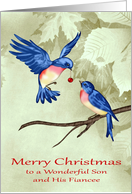 Christmas to Son and Fiancee, two beautiful blue birds, red ornament card